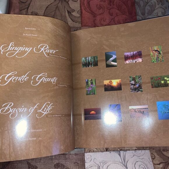 Sanctuary Mississippi’s Coastal Plain Coffee Table Book - Picture 5 of 7